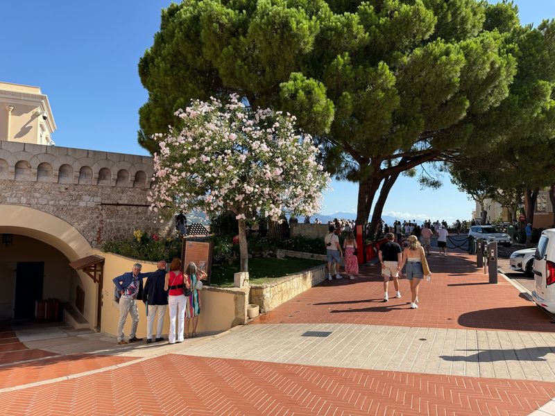 Monaco Palace Square