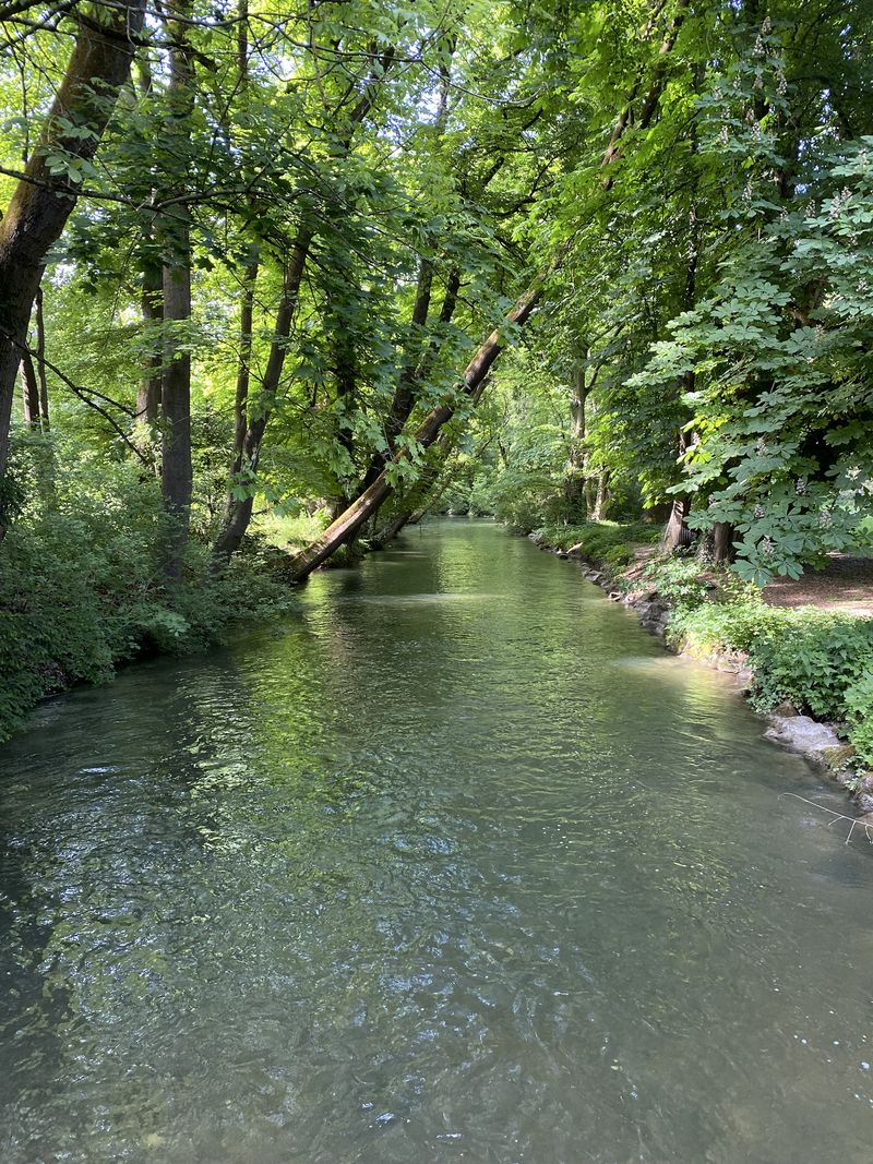 Munich Stream