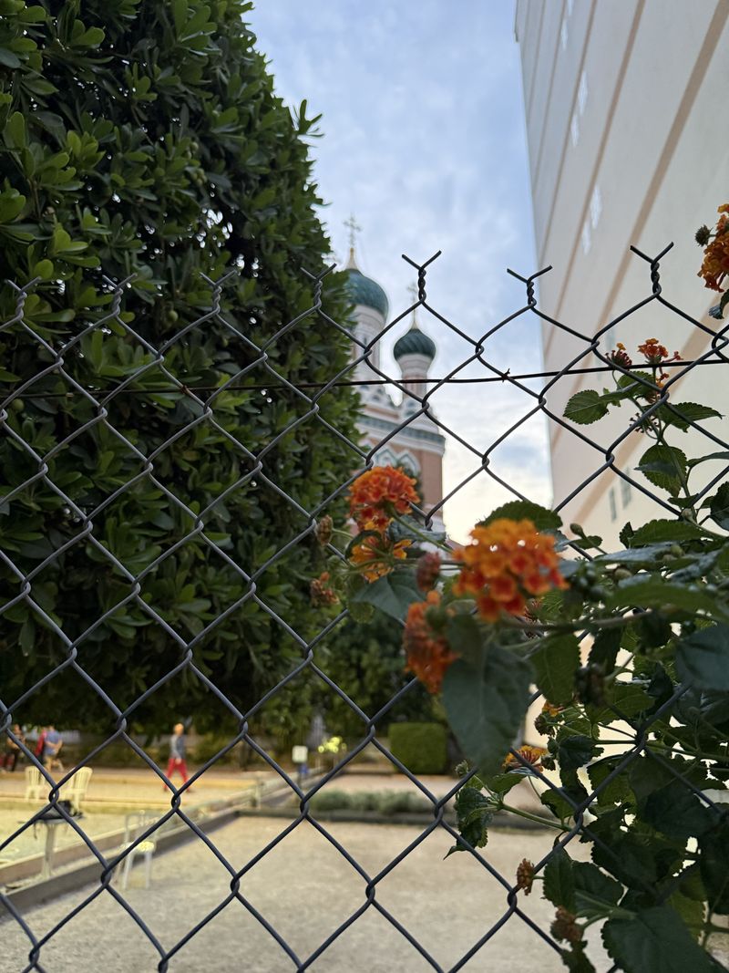 Nice Flower Fence