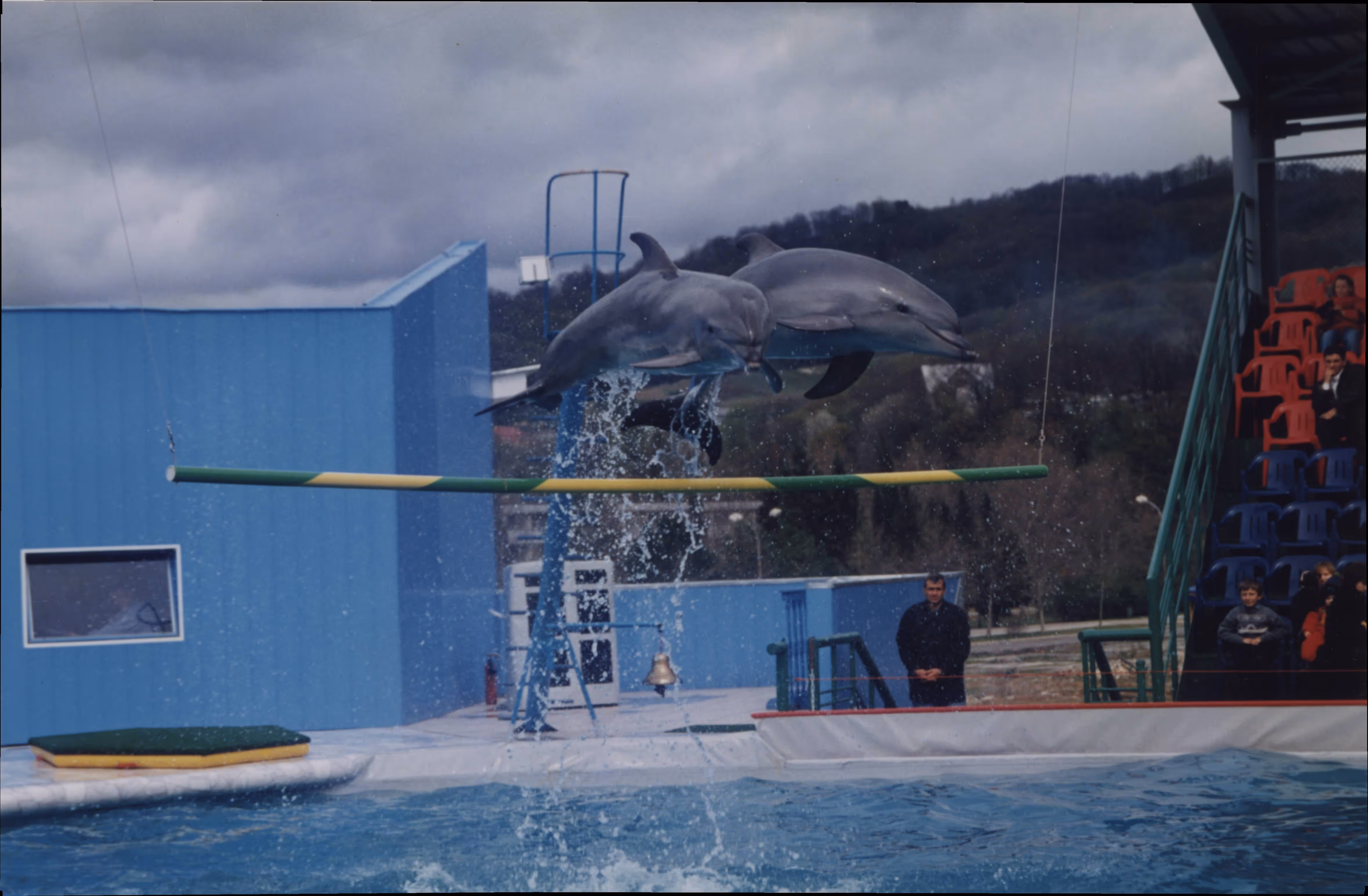 Результат объединения сканов